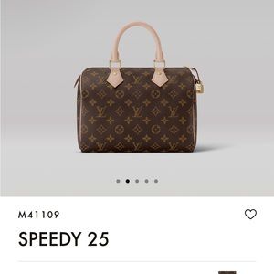 Louis Vuitton speedy 25 excellent condition